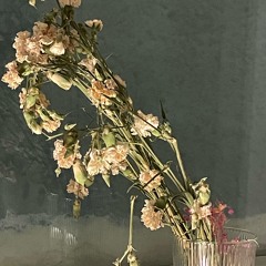 ikkunalaudalla/demo24