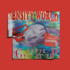 Sensity World - Get It Up (remix)