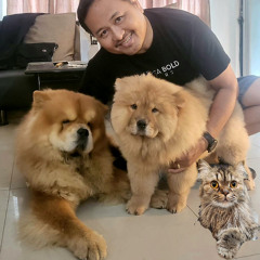 Song for Our Furry Pets