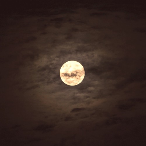 Full Moon Meander [disquiet0617]