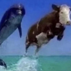 Finale for the bonely one (slowed)