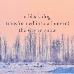 Transformed - (naviarhaiku513)