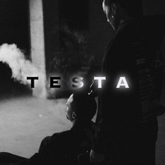 Testa