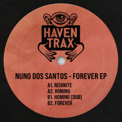 Nuno Dos Santos - Homing (snippet)