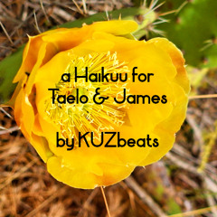 a Haikuu for Taelo & James