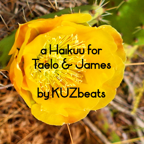 a Haikuu for Taelo & James