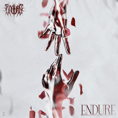 ENDURE (FREE DL)