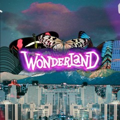 Digital Wonderland