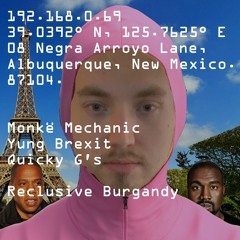 Pink Gecko [Radio Edit] [2023 Mix] [Reclusive Burgandy Remix]
