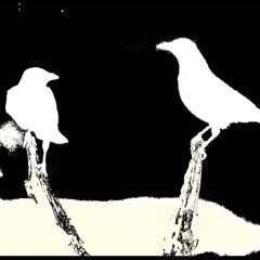 Birds Vs Stones