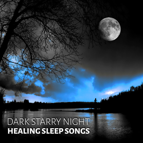Stream Relaxing Night Music Academy | Listen to Dark Starry Night ...