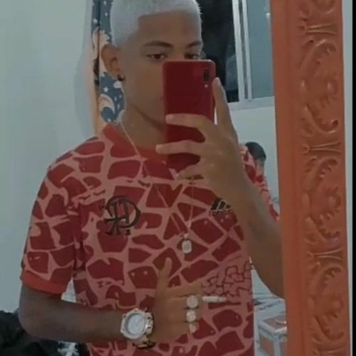 #MC BIMBÃO - EU SUBI O MORRO VS 022 TA NO PIQUE LOBO MAL - PROD - DJ DN DO YTB