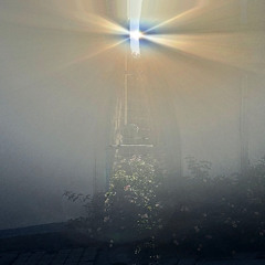 Point Light