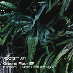 DS Premiere: Reduks - Puls [ROA-001]
