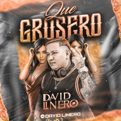QUE GROSERO - Live Set B& David Linero