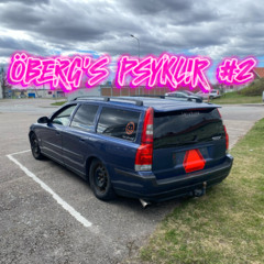 ÖBERG`S PSYKLIR #2