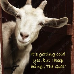 02 koidluftstaumpf iglopuff;.