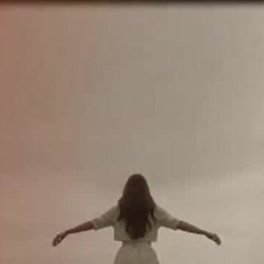 Lana Del Ray - Summertime Sadness (Konomo Remix)