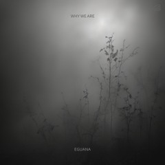 Why We Are (Original Mix)