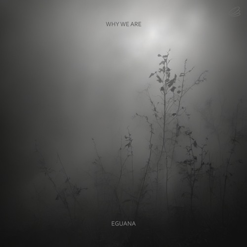Why We Are (Original Mix)