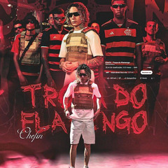 Chefin - Tropa do Flamengo ( Áudio Oficial )