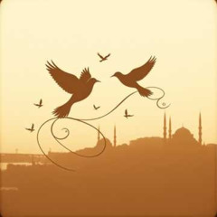 Bütün istanbul biliyo (cover)
