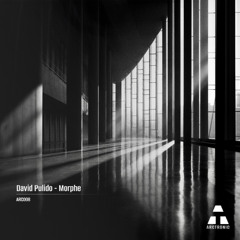 David Pulido - Eidos [Premiere I ARC008]