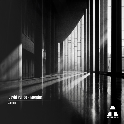 David Pulido - Eidos [Premiere I ARC008]