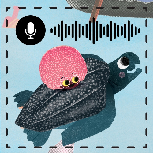 Audio Livro Lua Colar Coral Mar - Primeira Infancia