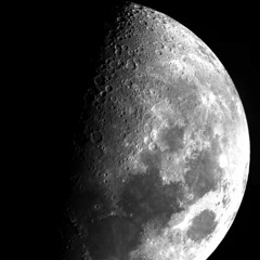 brand new (prod. soja)