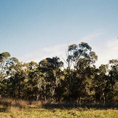 Infinite Wurldwide w/ Dot.AY - Sekor Guest Mix - 08242021