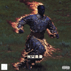 movement numb prod. iiissac