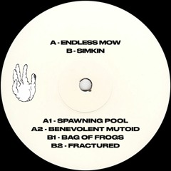 Endless Mow & Simkin - ACENV002