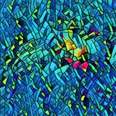 Enter the Secret Aquarium