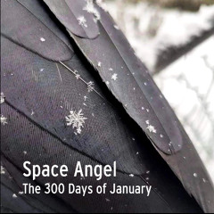 The 300 Days of January
