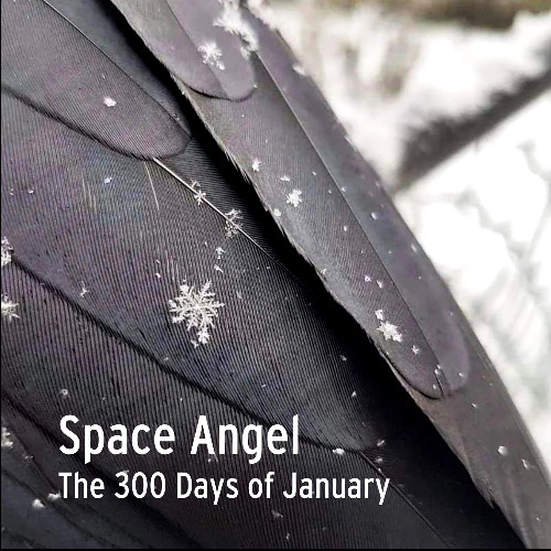 The 300 Days of January