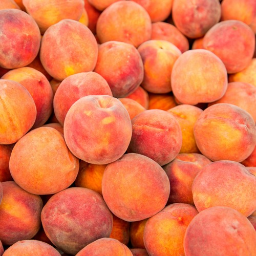 Listen to music albums featuring Leitersburg Peach Festival 2022 13