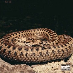 JBRINKS-Snakes