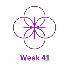 Week 41