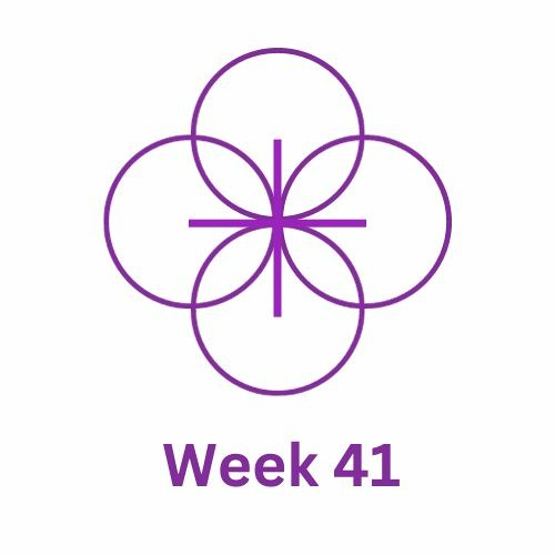 Week 41