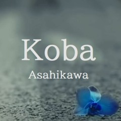 Blue Petals