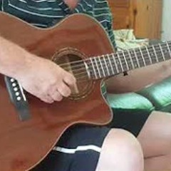 "Tiger's Eye" Original piece ©2019 Tony McGreal. Harley Benton EAX 500-TL