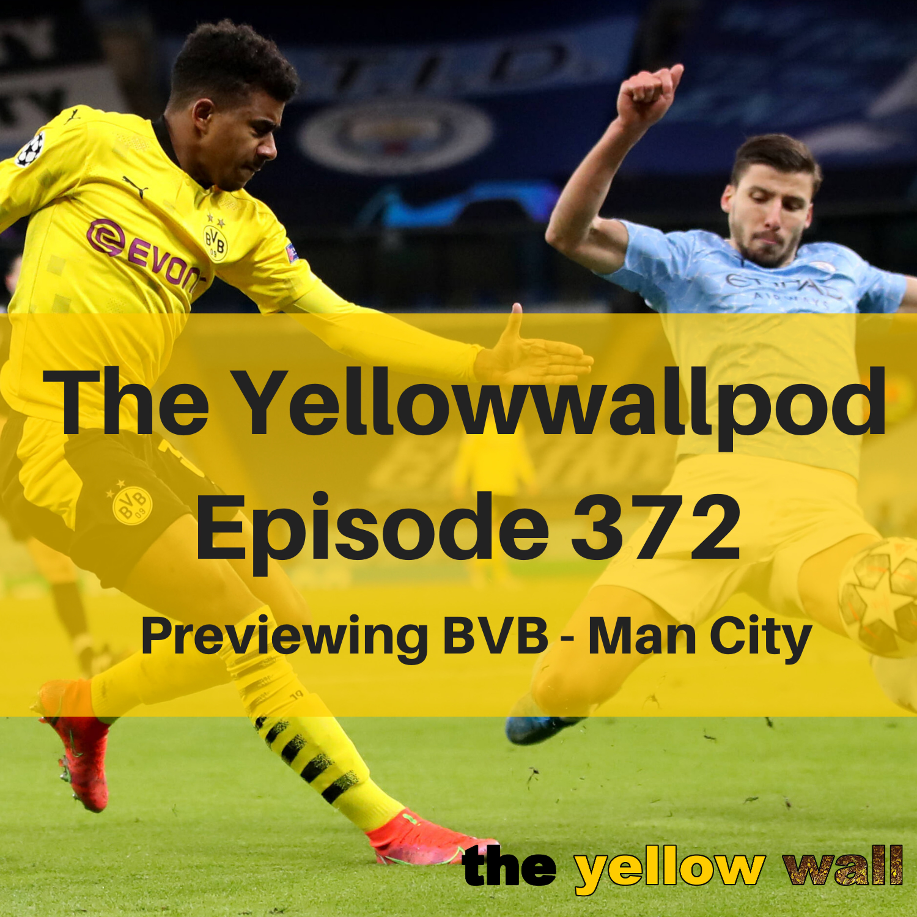 Yellowwallpod