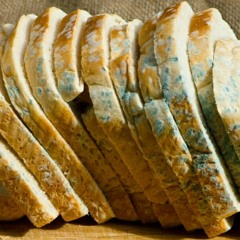 Martin Tourbé - Solitude Rance