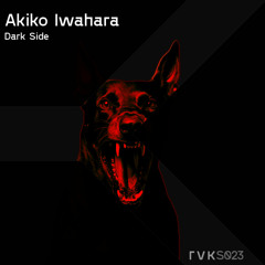 Akiko Iwahara - Dark Side
