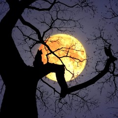 schnalt euch fest 933 Mix