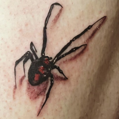 Port A Freestyle (1)