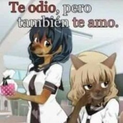 mojon de pollo wasap