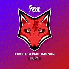 Firelite & Paul Gannon - Burn (Electric Fox)