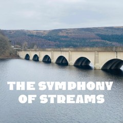 溪流的乐章｜The Symphony of Streams